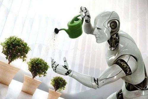 讓家庭機(jī)器人成標(biāo)配 我們還需跨越哪些山丘？